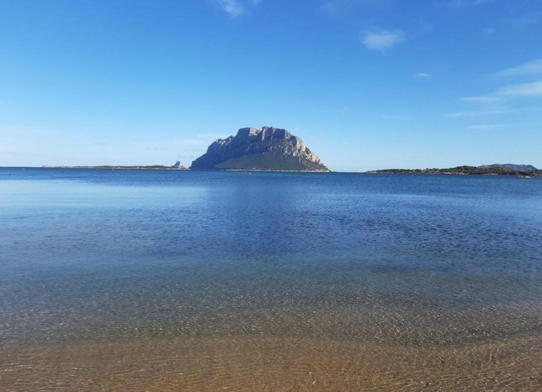 Apartamento Magic Dalu Con Posto Auto Olbia Exterior foto